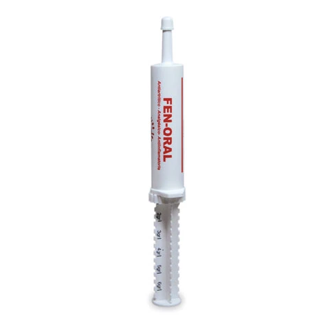 Fen Oral