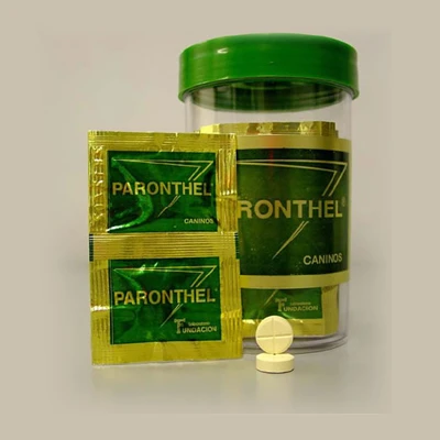 Paronthel Caninos