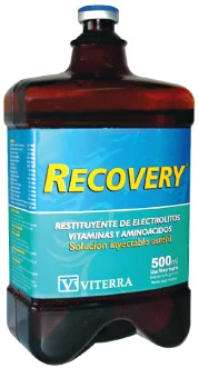 Recovery